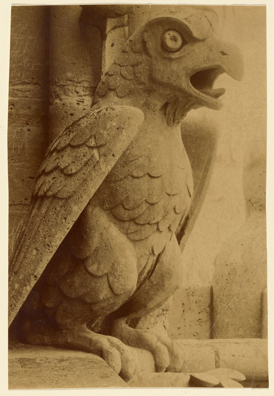 [Gargoyle, Notre-Dame] tekijältä Unknown artist
