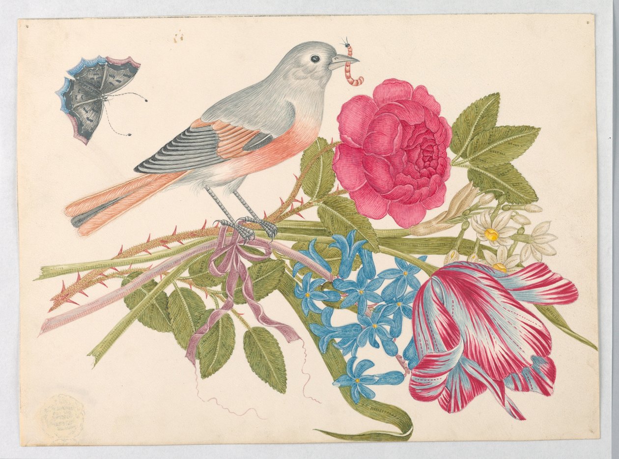 Ocell gris i corall al ram amb rosa, tulipa, margarides i forget-me-nots, amb Butterflyfinnish tekijältä Unknown artist