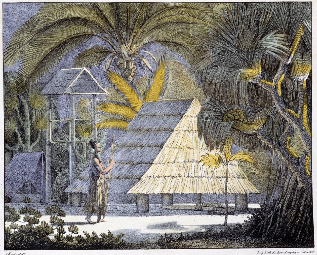 Elinympäristö Radak-saarilla, Marshallinsaarten saaristossa. 1800-luvun kaiverrus. tekijältä Unknown artist