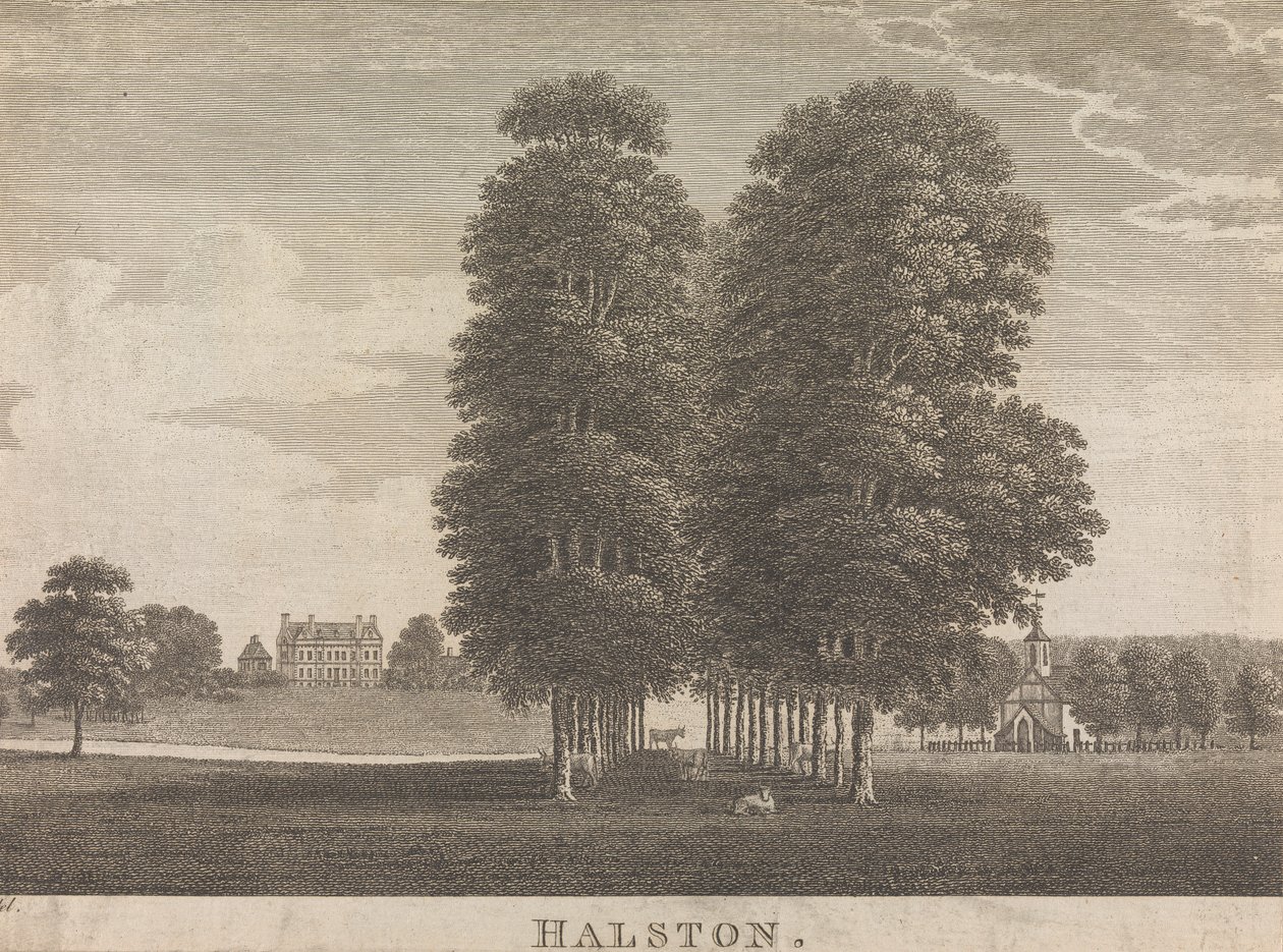 Halston; sivu 22 (Kakkonen osa) tekijältä Unknown artist
