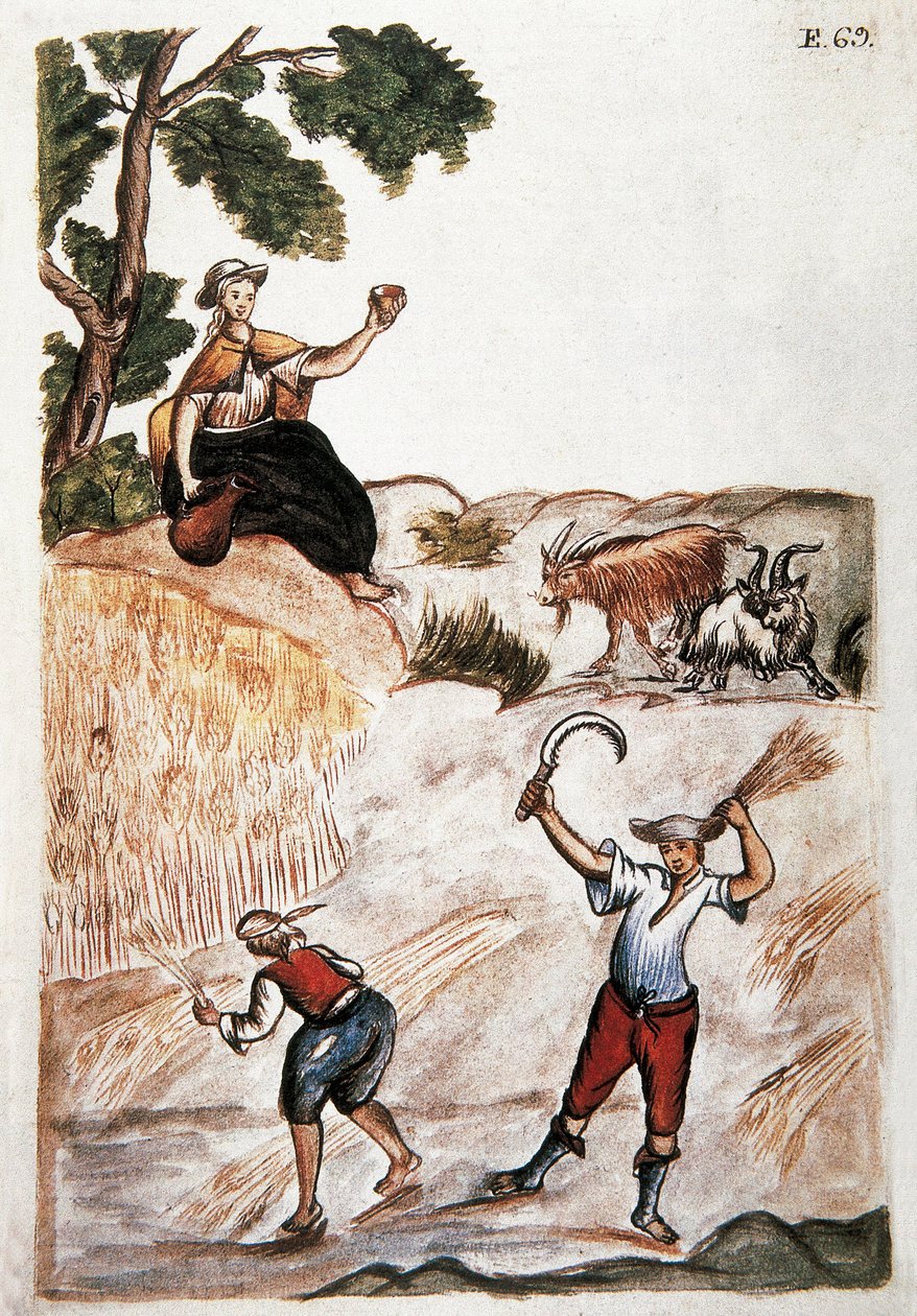 Harvests, Perun intiaanit pelloilla. Akvarelli 1700-luvun Madridista. Biblioteca del Palacio Real tekijältä Unknown artist