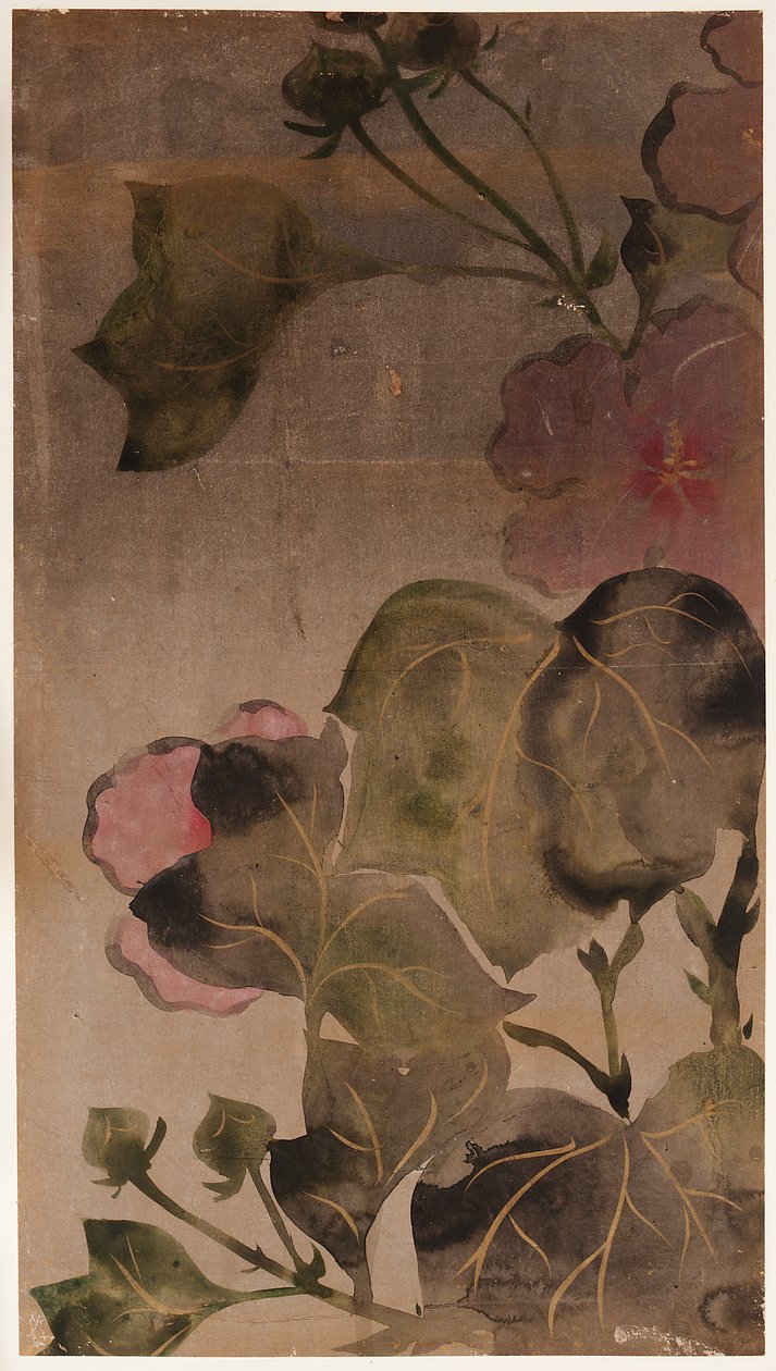 Hibiscus kukat ja lehdet tekijältä Unknown artist