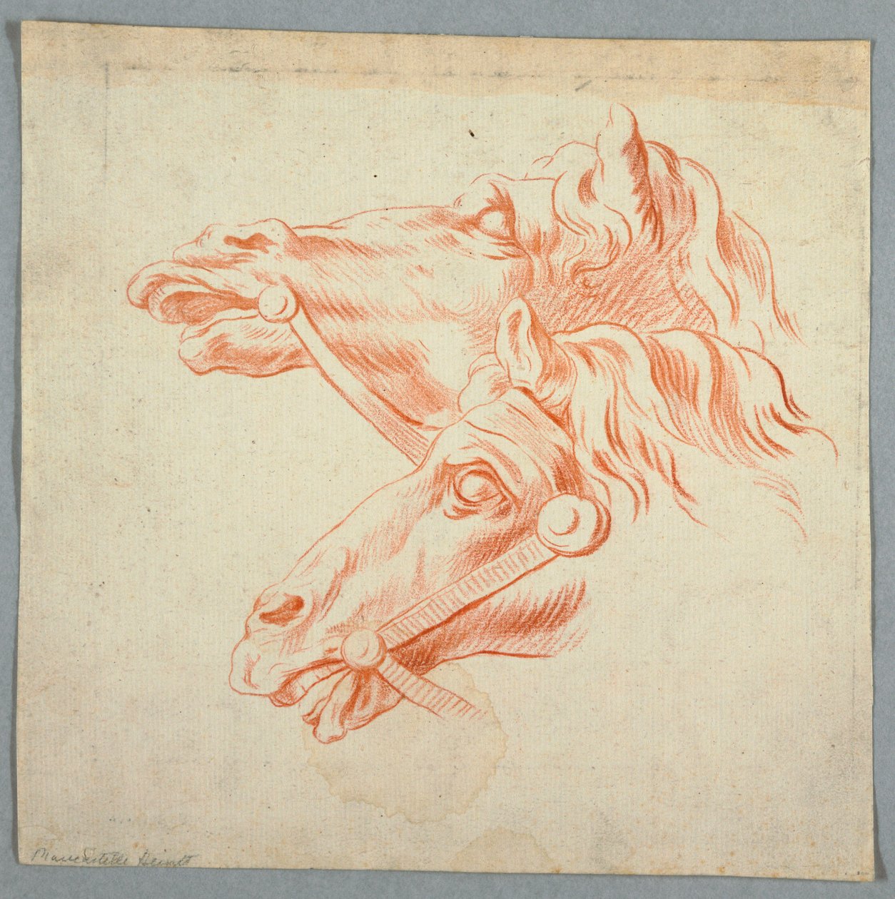 Hevosopinnot tekijältä Unknown artist