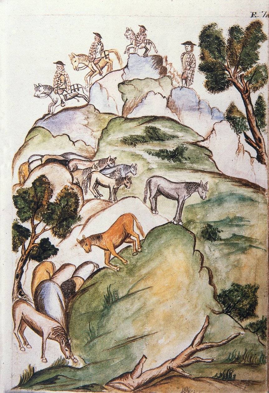 Hevosenvartijat piirittävät meriä vuorilla saadakseen ne kiinni, Trujillon piispan Baltazar Martinez Compañón y Bujandan (1782-1785) kirjasta "Trujillo del Peru" tai "Códice Martínez Compañón" tekijältä Unknown artist