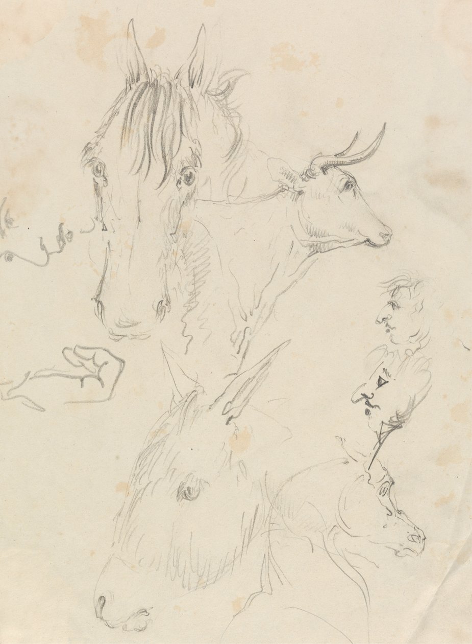 Hevoset, lehmät ja miehet tekijältä Unknown artist