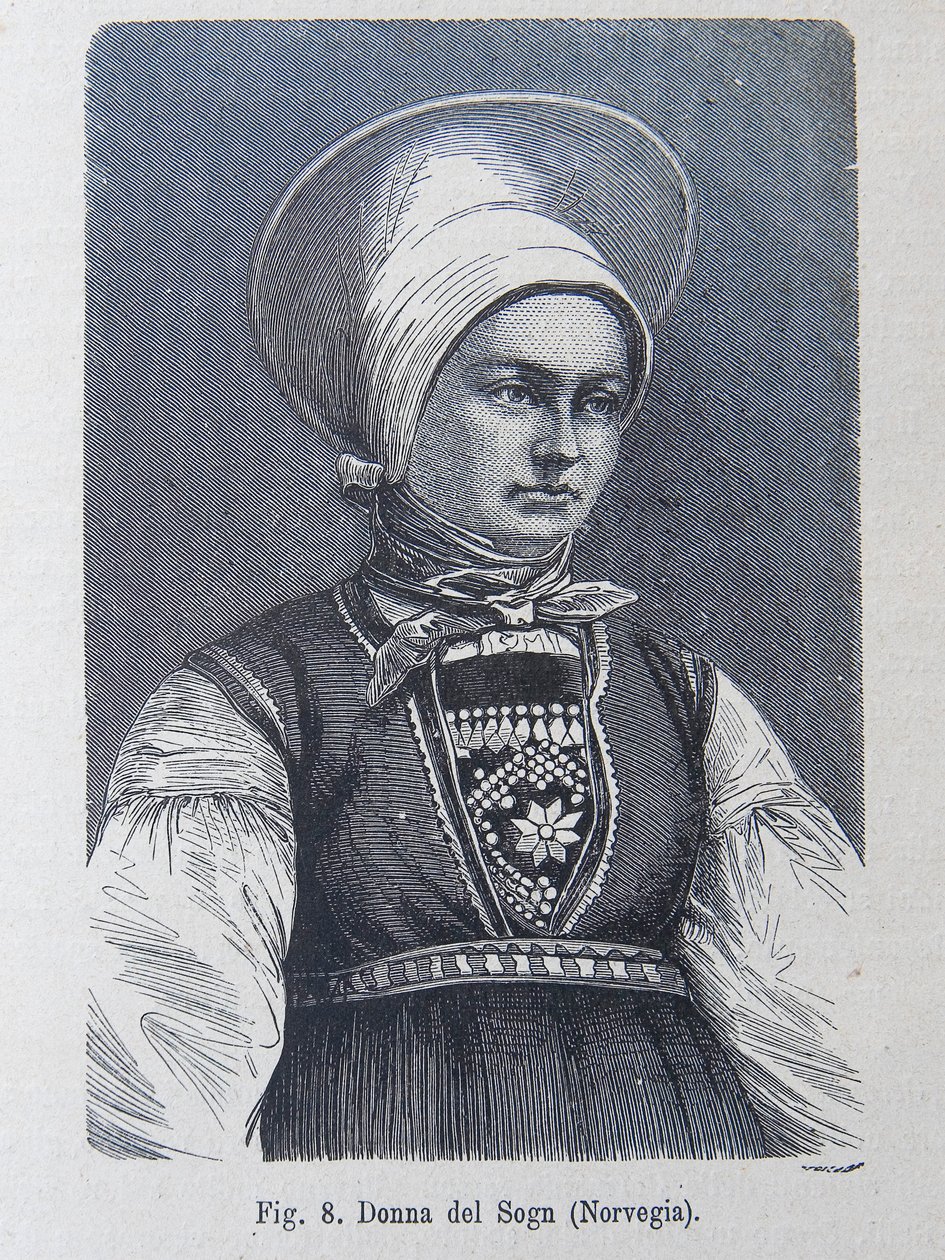 Kuvitus Louis Figuierin "Ihmiskunnasta". tekijältä Unknown artist