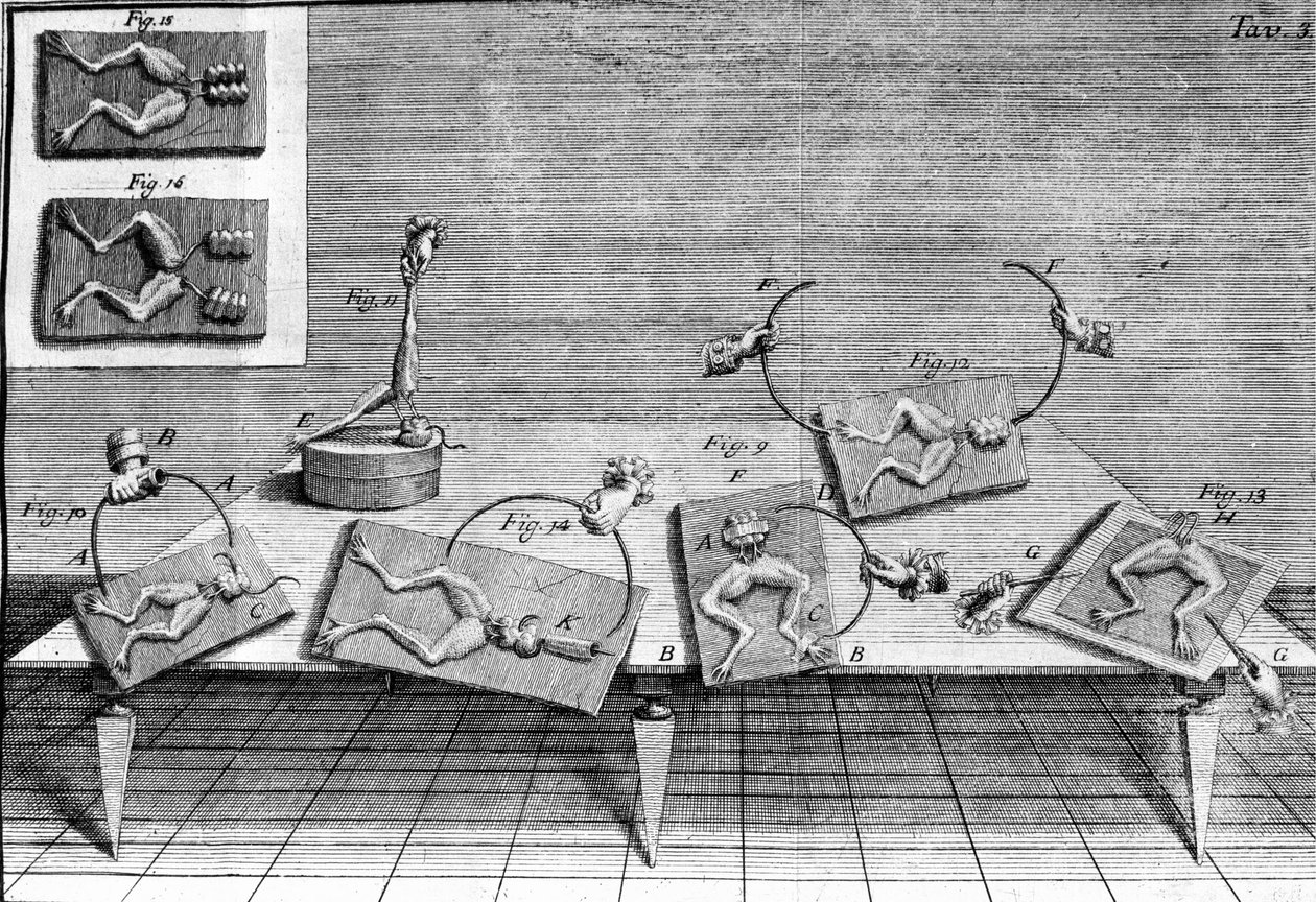 Kuva italialaisen fyysikon ja lääkärin (1737 - 1798) Luigi Galvanin kokeista, jotka selittävät sammakon jalkoja liikuttavan sähkövirran kulkua. tekijältä Unknown artist