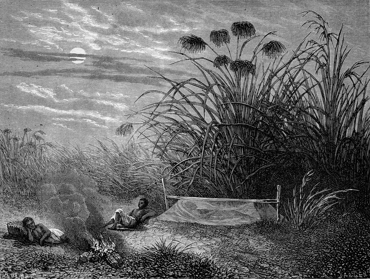 Masoumbossa: Livingstone Mosquito Net - "" Livingstonen viimeinen matka 1866-1873"" in "" Tour du Monde"", 2. sem. 1875 tekijältä Unknown artist