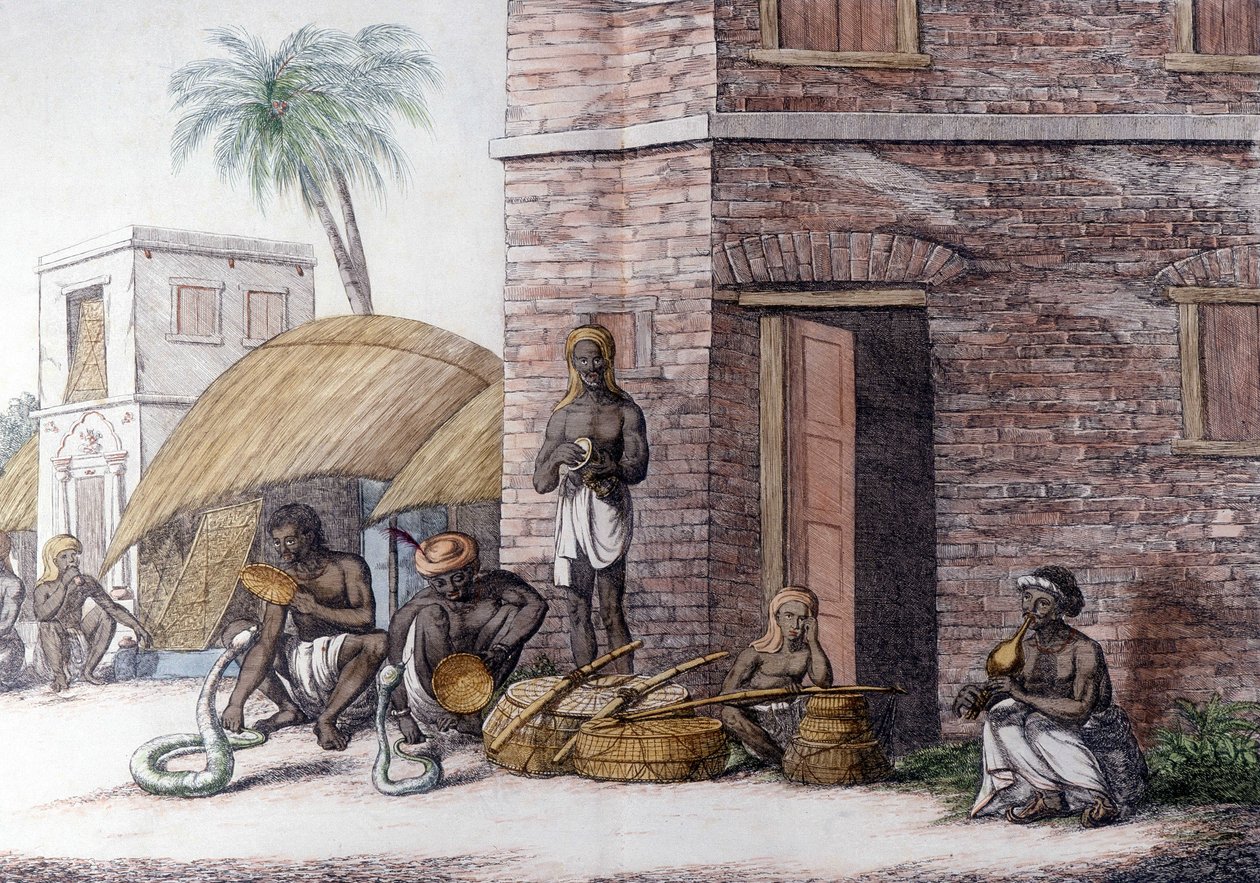 Intialainen kulttuuri ja sivilisaatio: Snake Charmers Intiassa. tekijältä Unknown artist
