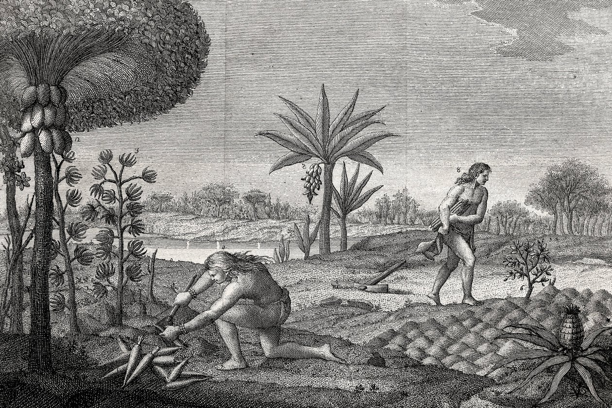 Alkuperäiskansat työskentelevät Kolumbian Orenoque-altaassa. Kaiverrus 1780 tekijältä Unknown artist