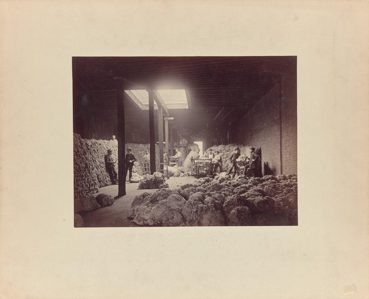 [Villanlajittelutalon sisätilat, Walter Brown and Company] tekijältä Unknown artist