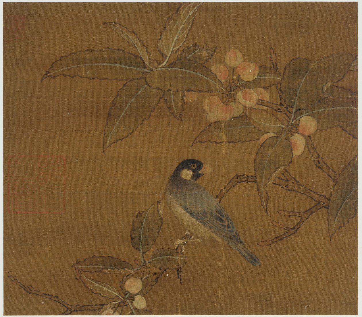 Java Sparrow marjan oksalla tekijältä Unknown artist