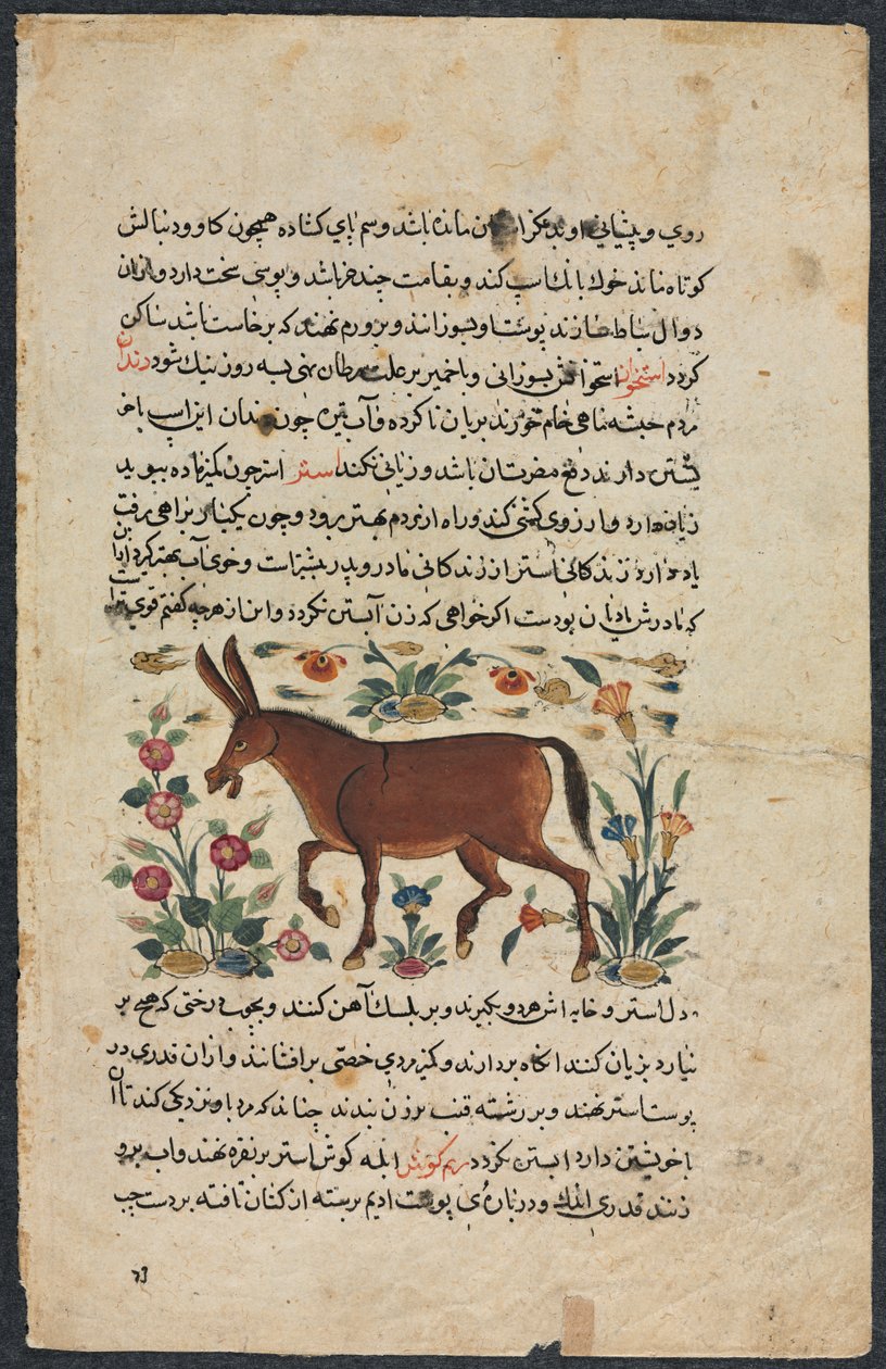 Muut (löydöt), Shahmarda Ibn Abi al-Khairin (forsa) nezhantami-valostuksesta (erinomainen kirja saapumisesta) tekijältä Unknown artist