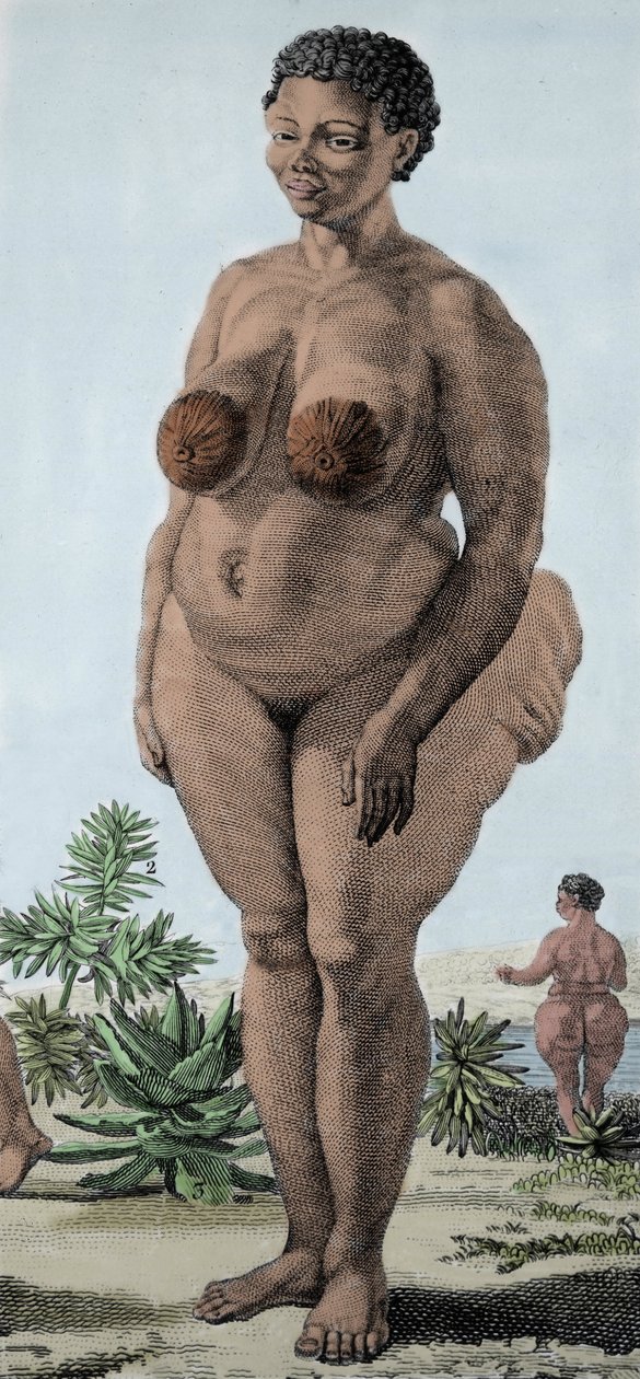 La Venus Hottentote, nainen rotu Bochiman; (The Hottentot Venus,) kaiverrus vuodelta 1815. tekijältä Unknown artist