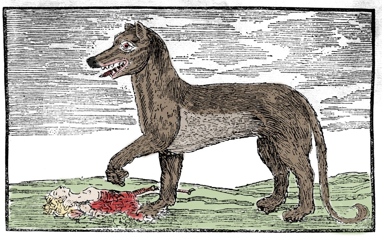 La bete du Gevaudan -kaiverrus ”Pyhän Jaakobin kronikasta” tekijältä Unknown artist