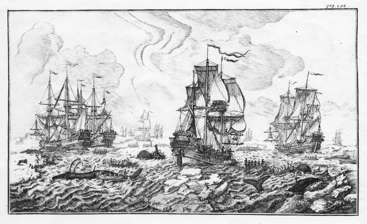 La chasse à la caleine - kaiverrus Cornelis Zorgdragerin "" Klassiseen arktisen valaanpyyntiteollisuuden kertomukseen" tekijältä Unknown artist