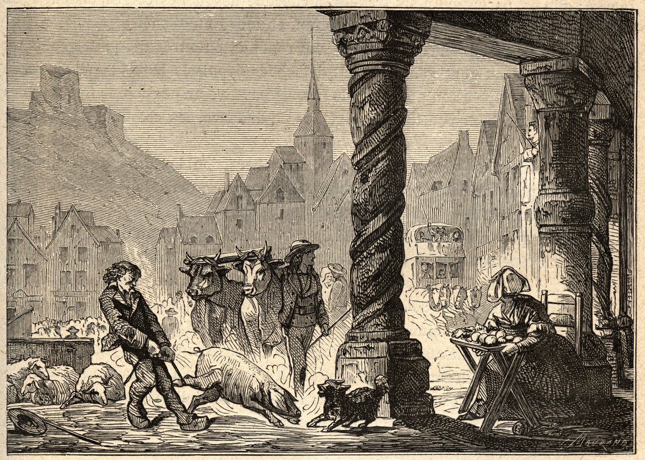 Pääkatu päiväkävelyllä Dol de Bretagnessa - kaiverrus "" PATRIE"" - KUVAUS PECTURESSE DE LA FRANCE FI LUCIEN HUARDIN 6 VOLUETTA - 1800-luvun loppu tekijältä Unknown artist