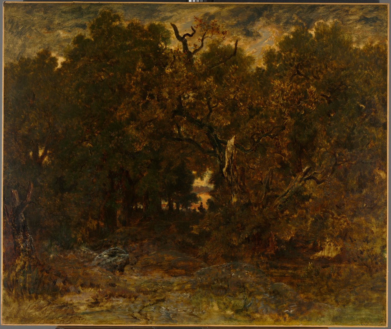 Poistuminen metsästä, Fontainebleau: Laskeva aurinko tekijältä Unknown artist