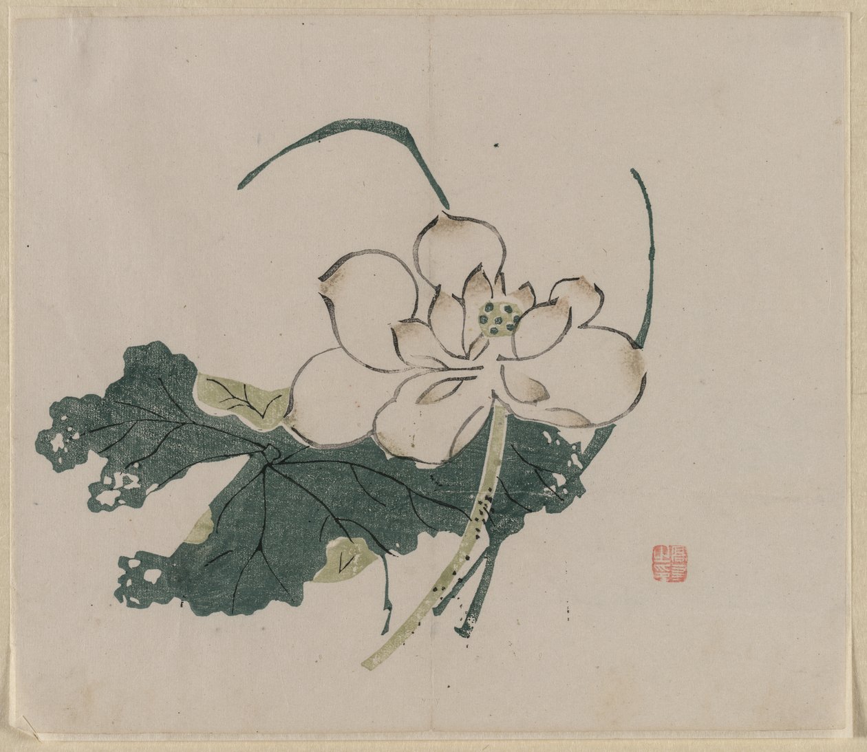 Lotus Blossom tekijältä Unknown artist