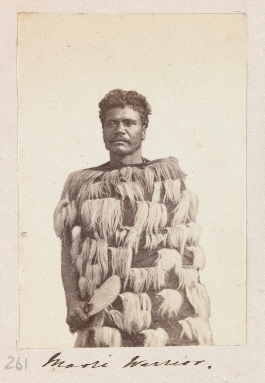 Maori Warrior, noin 1876 (s/w valokuva). tekijältä Unknown artist