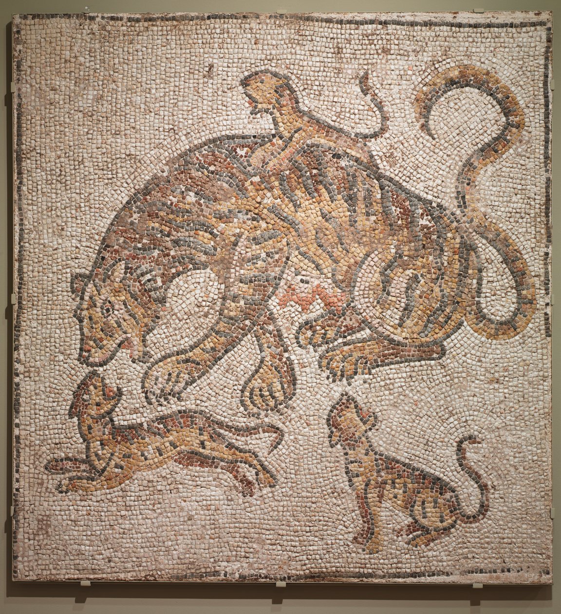 Mosaiikki tiikereistä ja pennuista tekijältä Unknown artist