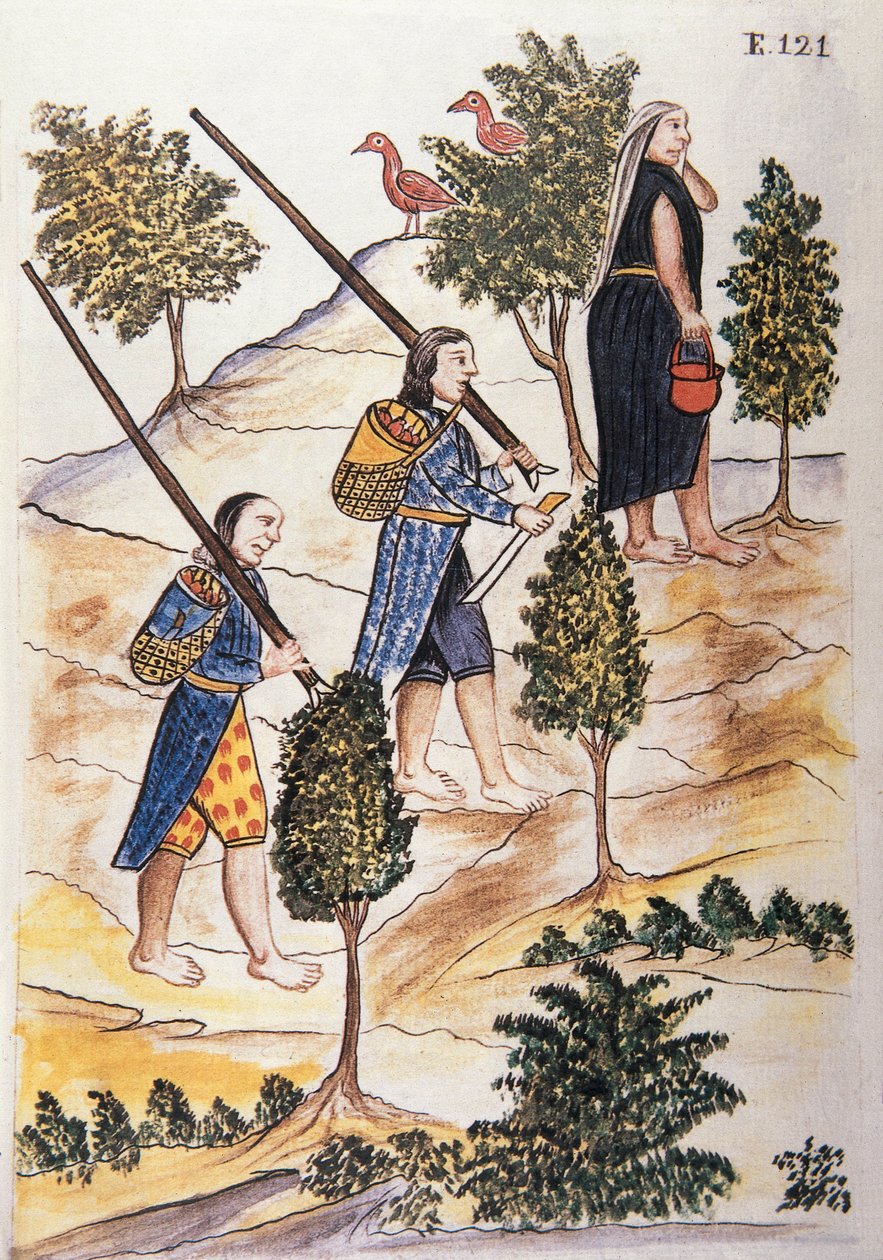 Motilones-intiaanit metsästämään, Trujillon piispan (1782-1785) Baltazar Martinez Compañón y Bujandan kirjasta "Trujillo del Peru" tai "Códice Martínez Compañón" tekijältä Unknown artist