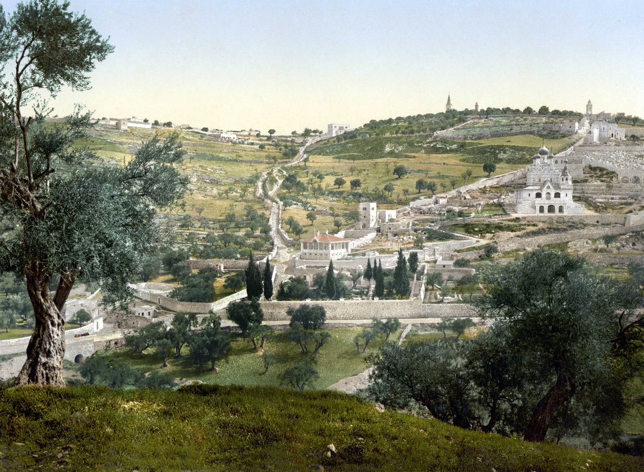 Öljymäki ja Getsemani, Jerusalem. Photochrome 1890-1900. tekijältä Unknown artist