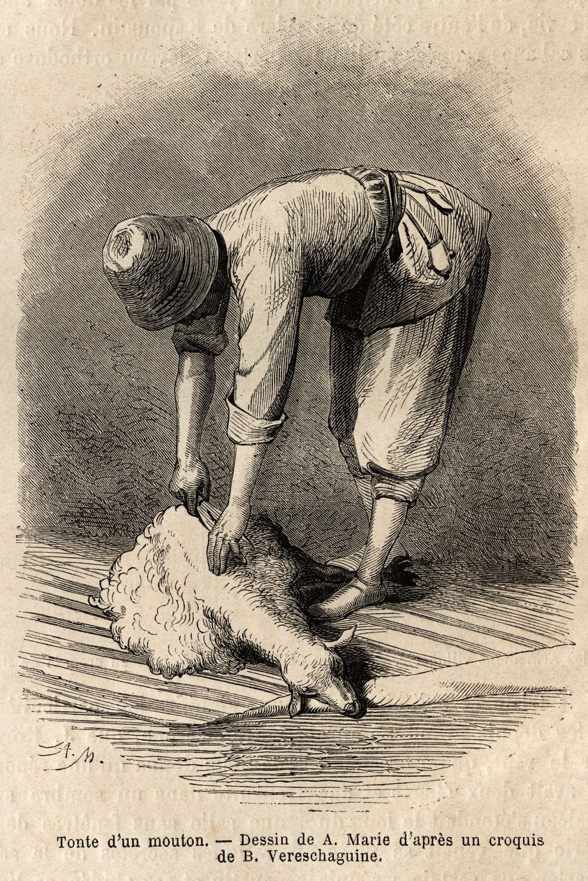 Nuoren tatarimiehen leikkaamassa lampaita Schushassa (Transkaukasia, Venäjä). Kaiverrus havainnollistamaan matkaa Kaukasuksen provinsseissa, Basile Vereschaguine, 1864-1865, julkaistu "" le tour du monde" -lehdessä, D