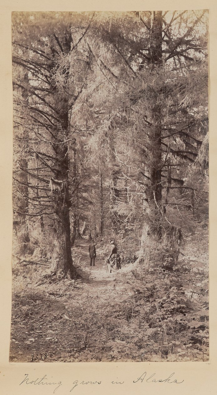 Alaskassa ei kasva mitään tekijältä Unknown artist