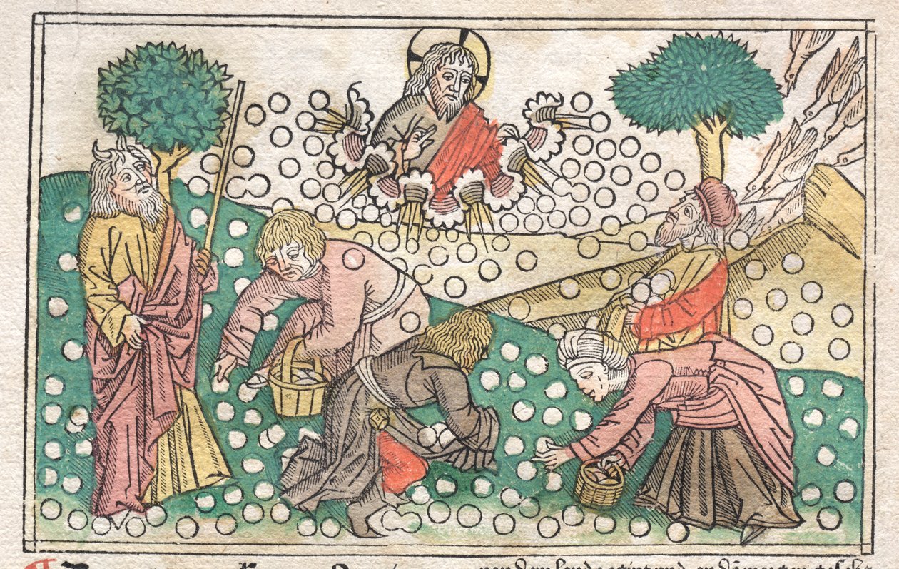 Nürnbergin Raamattu: Manna putoaa taivaasta tekijältä Unknown artist