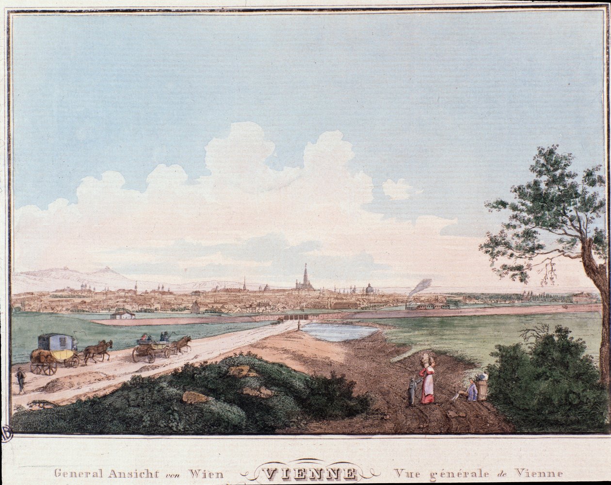 Yleiskatsaus Wienin kaupunkiin, jossa on Tonavan ylittävä silta. Itävalta Kaiverrus vuodelta 1830 Yksityiskokoelma tekijältä Unknown artist