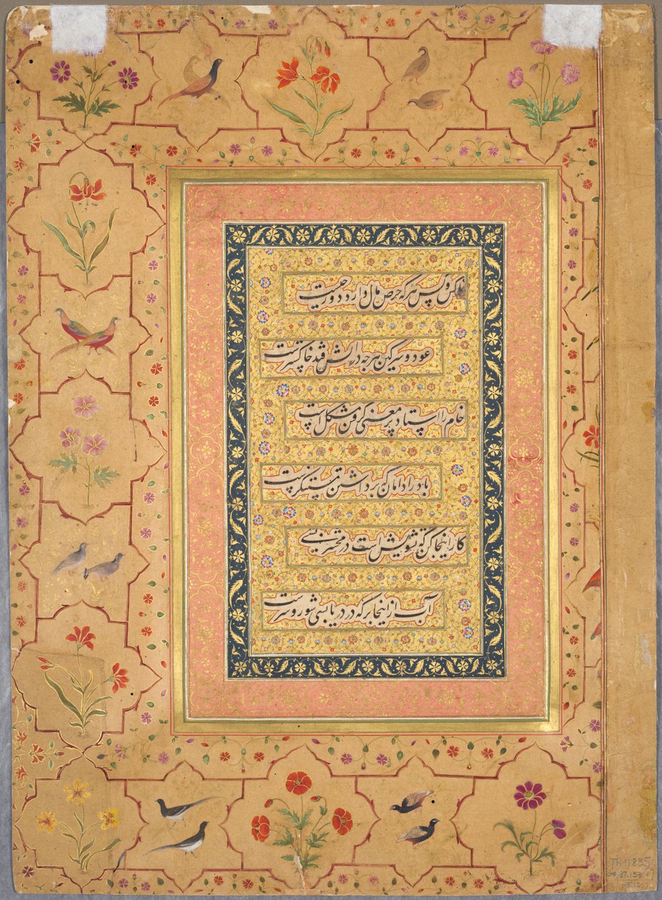 Sivu Late Shah Jahan -albumilta: Kalligrafia kehystettynä koristeellisella reunuksella unikon ja lintuparien kanssa (käänteinen) tekijältä Unknown artist