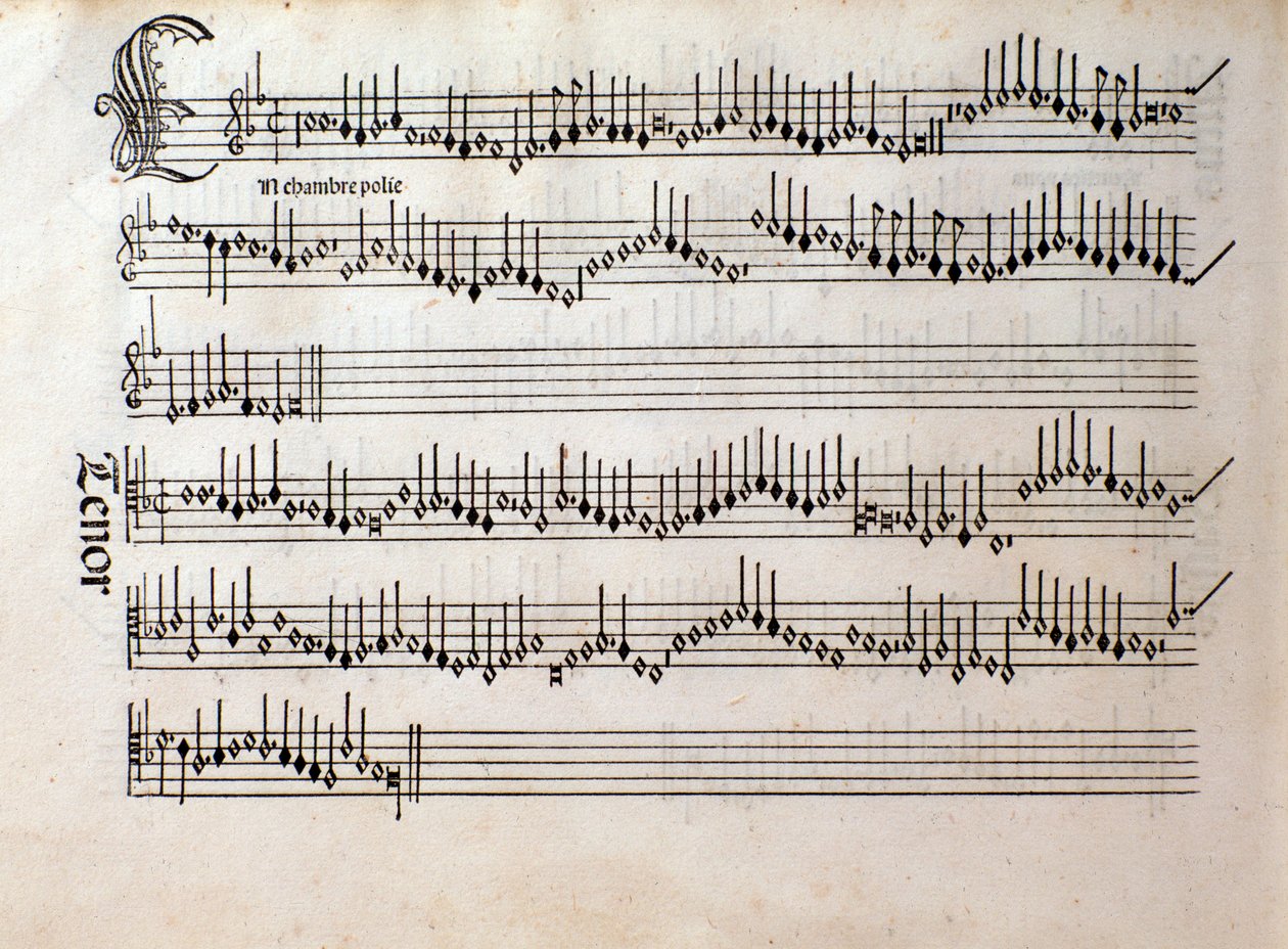Sivu Ottaviano Petruccin musiikkimusiikkimusiikkia Odhecatonista (1501) tekijältä Unknown artist