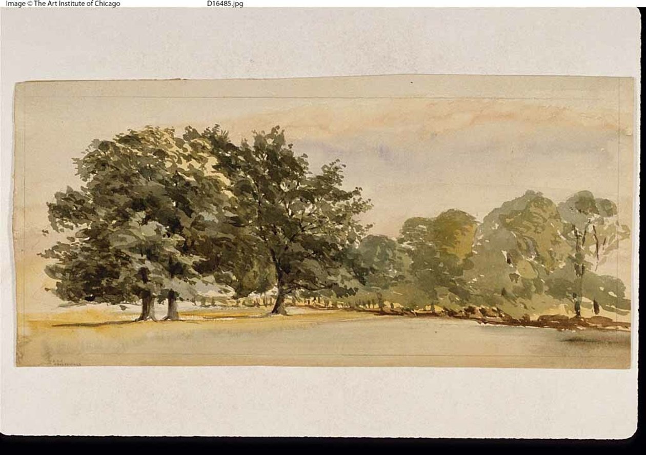 Panoraama metsäisestä metsiköstä (etusivu); maisema, jossa oikealla metsä (kääntöpuoli). tekijältä Unknown artist