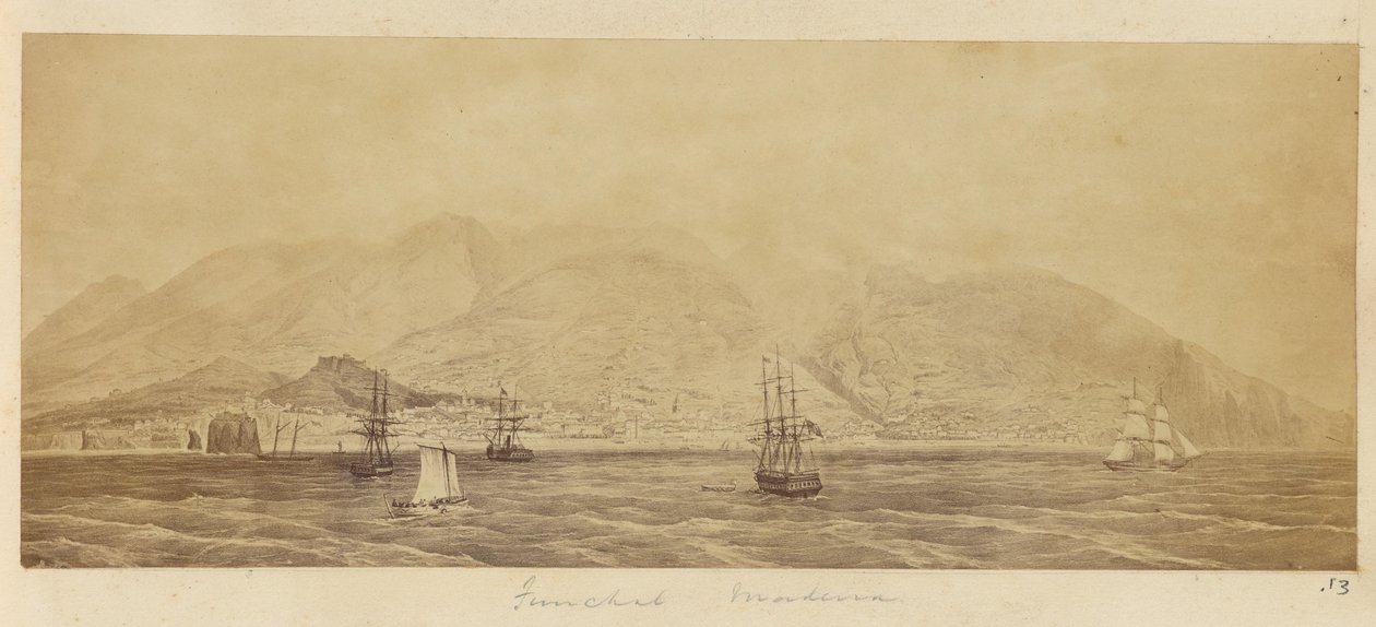 [Panoraama satamasta, Funchal, Madeira] tekijältä Unknown artist