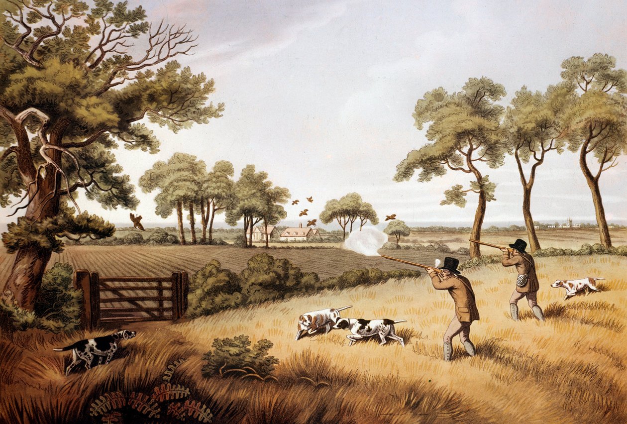 Peltopyyn metsästyskohtaus: 1800-luvun litografia Gien, metsästysmuseo tekijältä Unknown artist