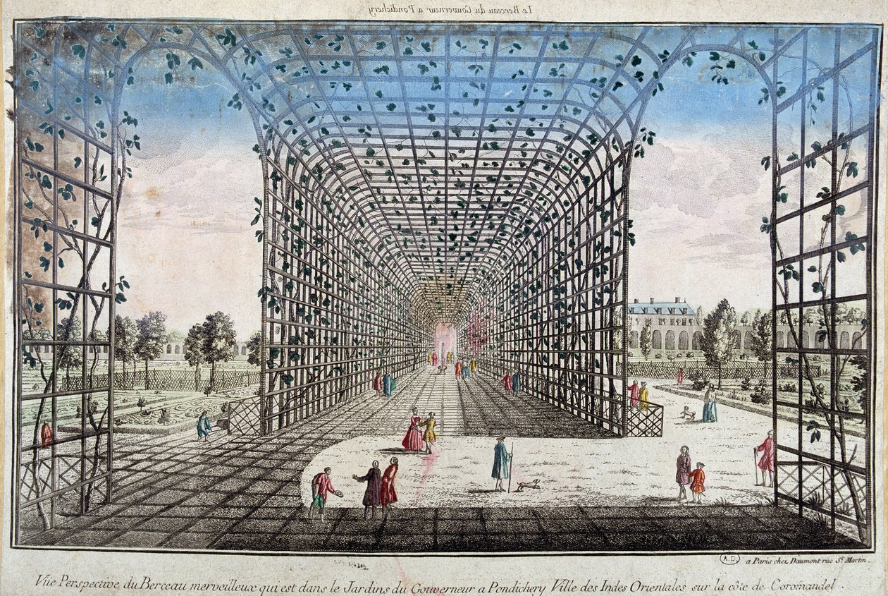 Perspektiivikuva upeasta kehdosta, joka on kuvernöörin puutarhassa Pondicherryssä (Pondicherry), Itä-Intian kaupungissa Coromandelin rannikolla - kaiverrus tekijältä Unknown artist