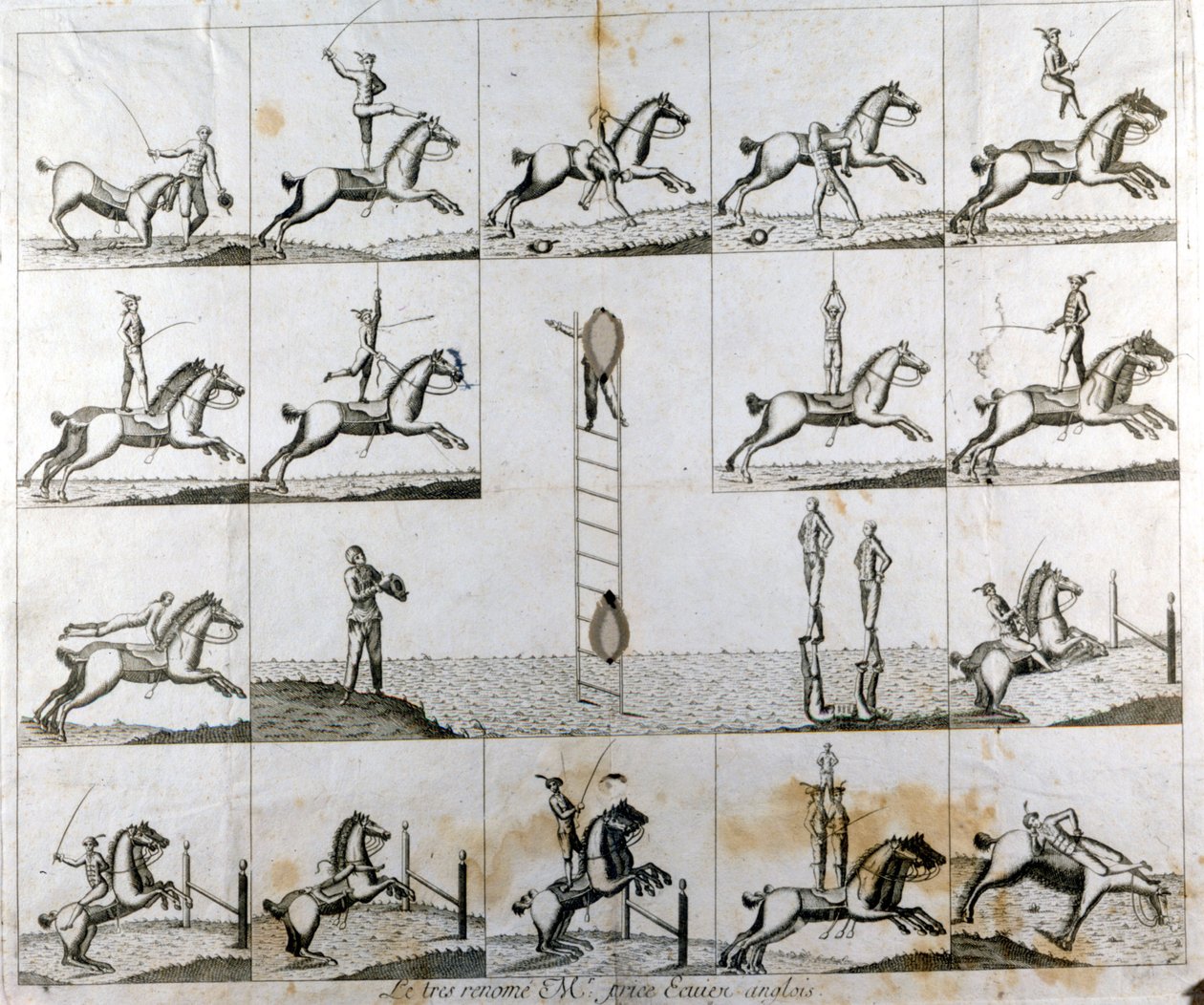 Kilpi, jossa on 19 printtiä, jotka kuvaavat englantilaisen voltigerin herra Pricen kykyjä. 1790 noin tekijältä Unknown artist