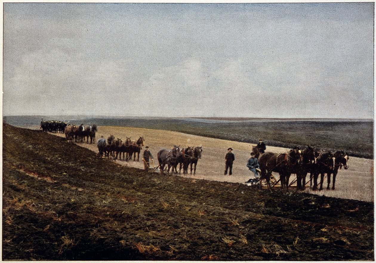Kyntö Manitoban tasangoilla (Kanada), 1800-luvun lopulla tekijältä Unknown artist