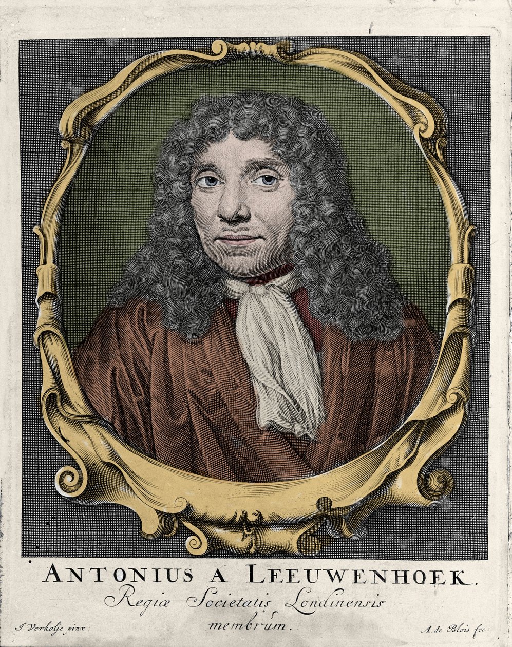 Muotokuva Antonie Van Leeuwenhoekista tai Anton van Leeuwenhoekista tai Leeuwenhoekista tai Leeuwenhoeckista. Hollantilainen luonnontieteilijä (1632-1723). kaiverrus vuodelta 1722. tekijältä Unknown artist