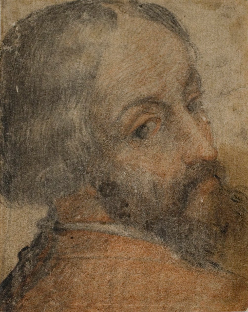 Muotokuva parrakas mies (Lodovico Ariosto) tekijältä Unknown artist