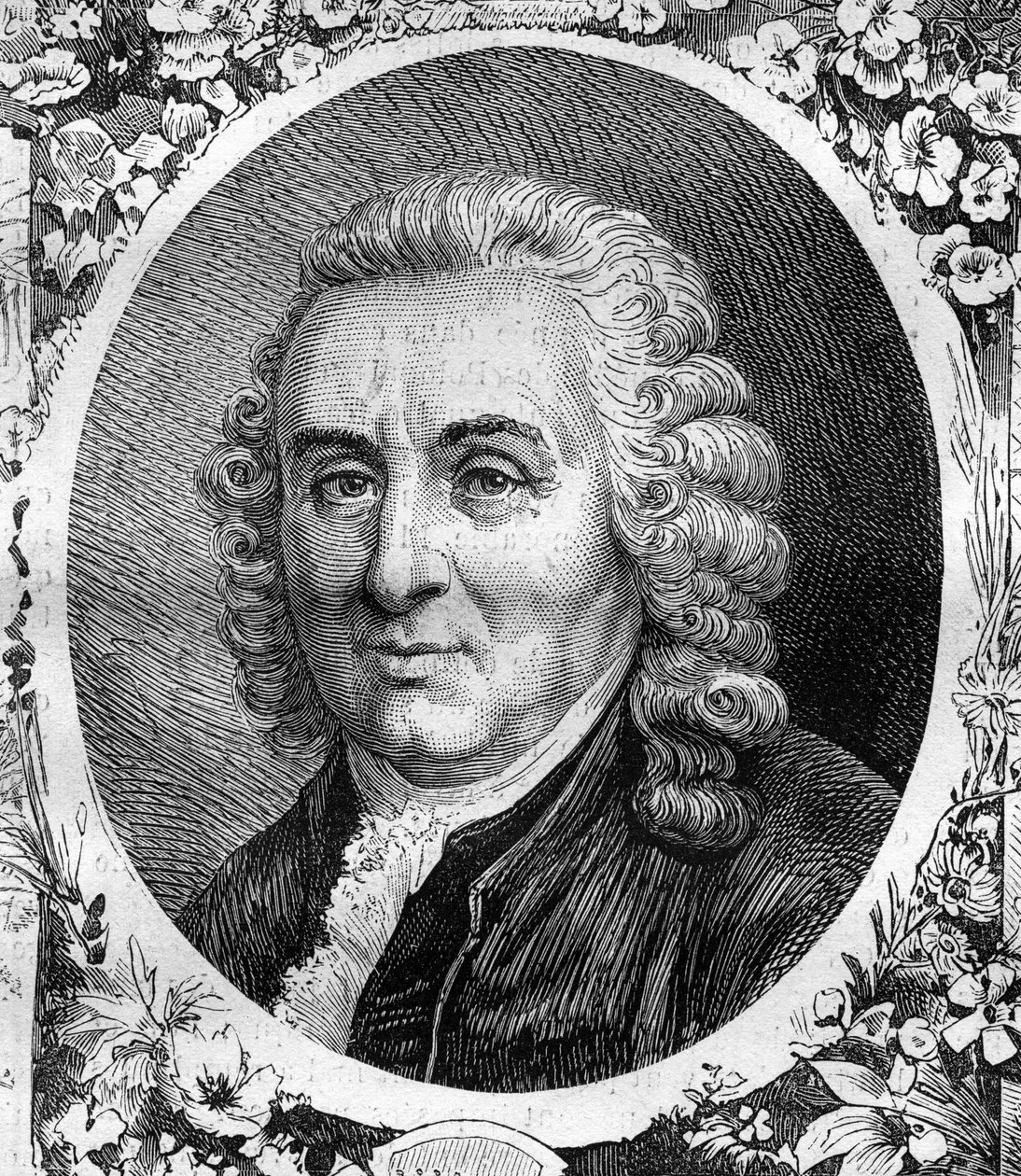 Charles Linnen (Carl von Linne, Carl Linnaeus) (1707-1778), ruotsalaisen luonnontieteilijän muotokuva. Kaiverrus vuodelta 1878. tekijältä Unknown artist