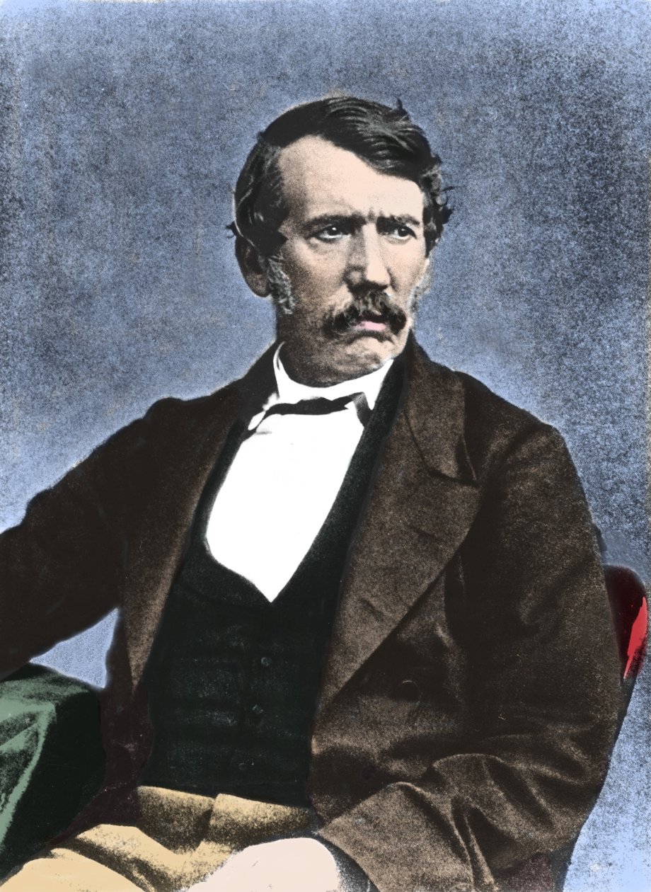 Muotokuva David Livingstonesta (1813-1873), skotlantilainen lähetyssaarnaaja ja tutkimusmatkailija. tekijältä Unknown artist