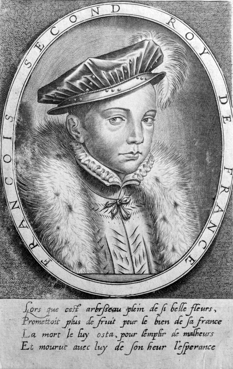 Ranskan kuninkaan Francois II:n (1544-1560) muotokuva. tekijältä Unknown artist