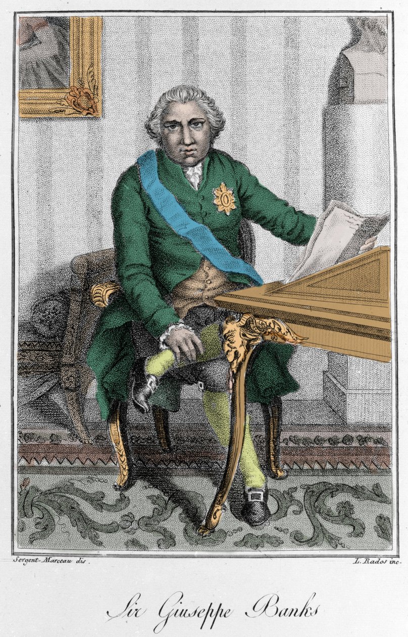 Sir Joseph Banksin (1743-1820), englantilaisen tutkimusmatkailijan ja luonnontieteilijän muotokuva. Värikaiverrus tekijältä Unknown artist