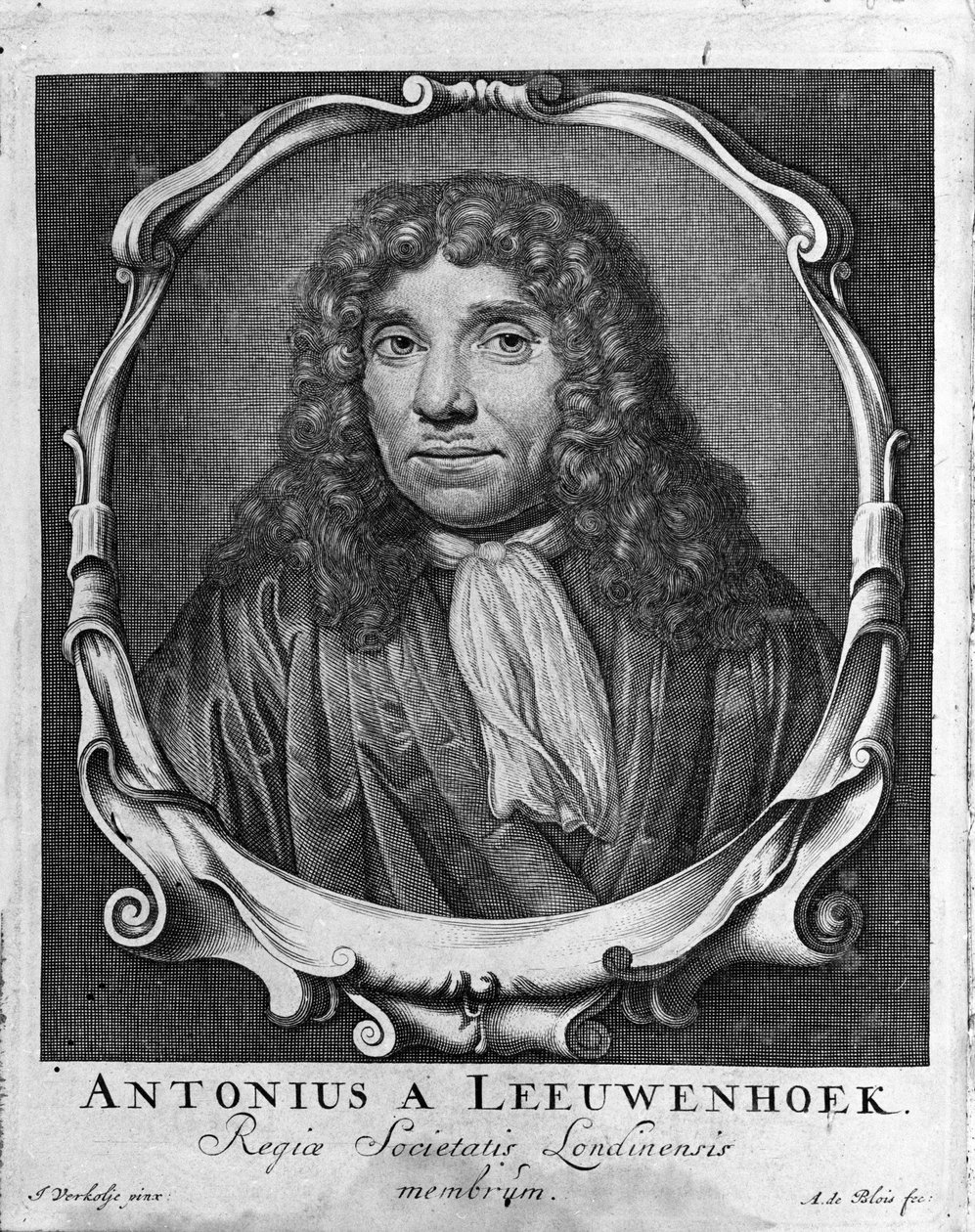 Hollantilaisen kauppiaan ja tutkijan Antoine van Leeuwenhoekin (tai Leeuvenhoek Leeuwenhoeckin) (tai Antoni tai Anthonien) (1632-1723) muotokuva Kaiverrus "Investigatio Arcanorum" -julkaisusta 1722. tekijältä Unknown artist