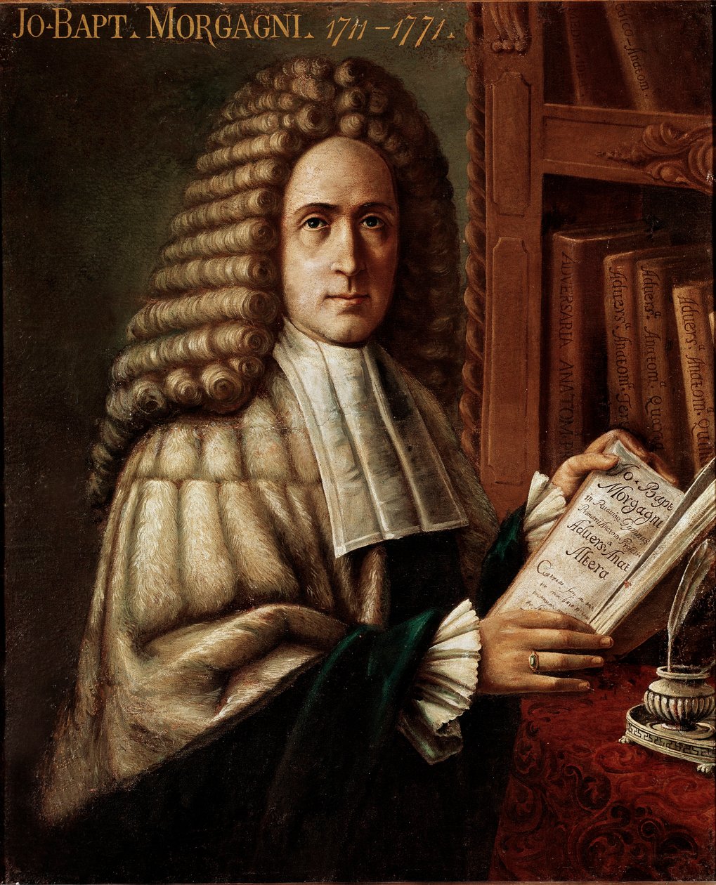 Muotokuva lääkäristä ja anatomista (Giovanni Battista) (Giovan Battista) Giambattista Morgagnista (1683-1771) (Johannes Kastaja) Patologisen anatomian perustaja Anonyymi maalaus 1700-luvulta Padova, yliopisto, Italia tekijältä Unknown artist