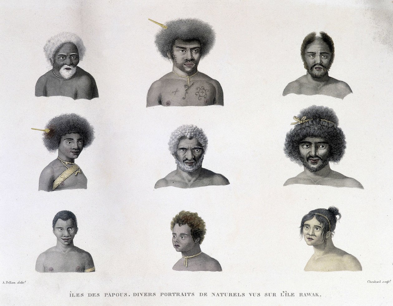 Papuan muotokuvia Rawakin saarelta. tekijältä Unknown artist