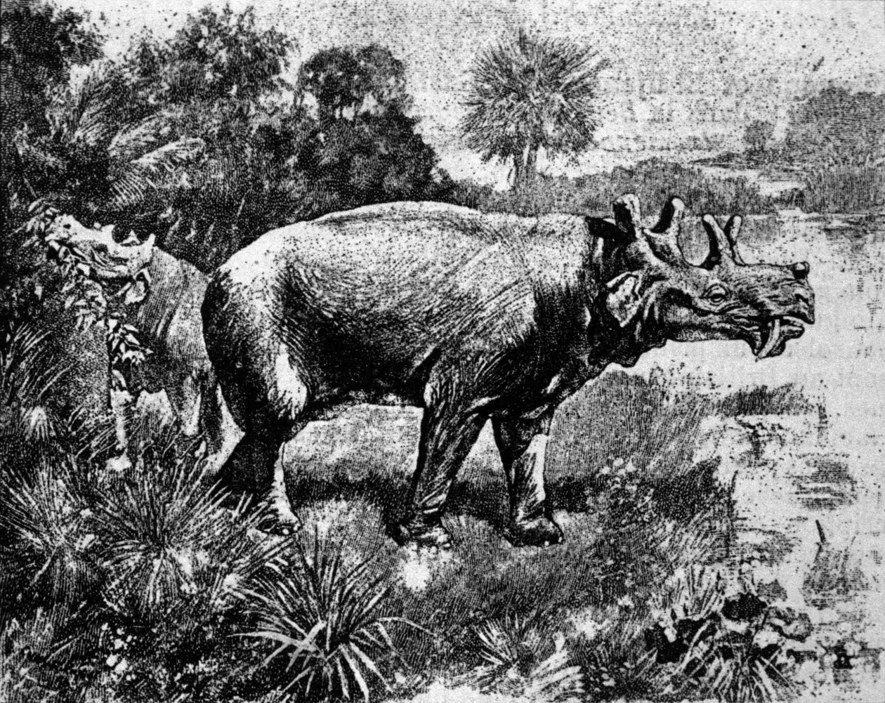 Esihistoria: esitys nelisarvisesta Uintatherium-dinosauruksesta. tekijältä Unknown artist