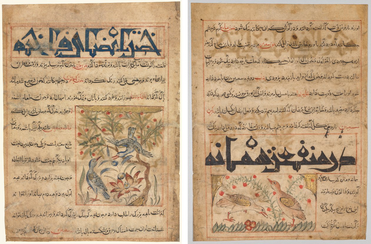 Sormuskyyhkysten ominaisuudet (recto); Viiriäisten eduista (käänteinen), Abu Said Ubaid-Allah ibn Jibrail ibn Bakhtishun (kuoli 1058–68) persialaisesta Manafi’ al-Hayawanista (Eläinten edut) tekijältä Unknown artist
